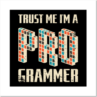 Trust me i'm a programmer Posters and Art